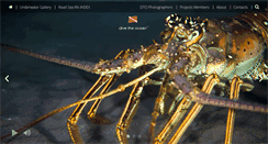 Desktop Screenshot of divetheocean.net