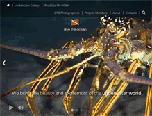 Tablet Screenshot of divetheocean.net
